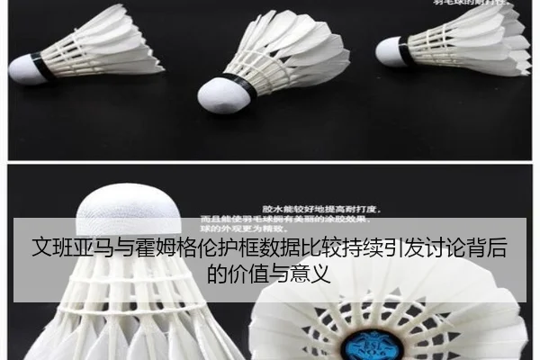 文班亚马与霍姆格伦护框数据比较持续引发讨论背后的价值与意义 | kaiyun